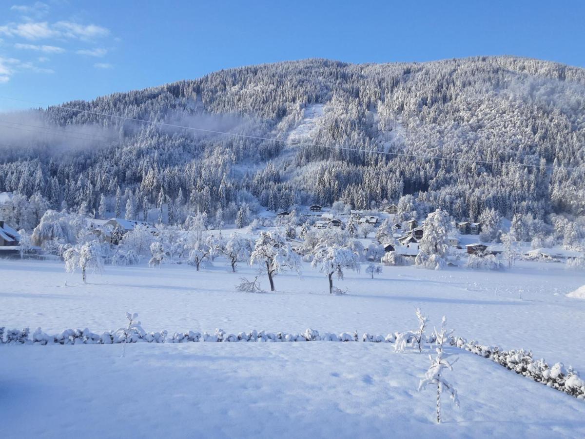 Apartment-Ferienwohnung 3 Treffen Am Ossiachersee Kültér fotó